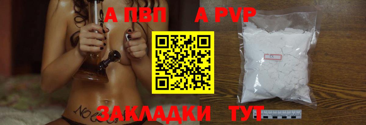 A PVP СК Белгород