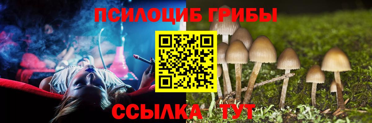 где купить наркоту  Белгород  Галлюциногенные грибы Magic Shrooms 