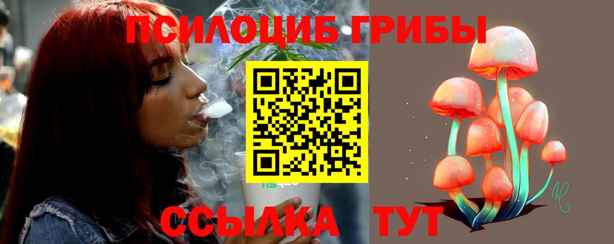 Белгород  Галлюциногенные грибы прущие грибы  Вход с VPN  Псилоцибиновые грибы Cubensis 